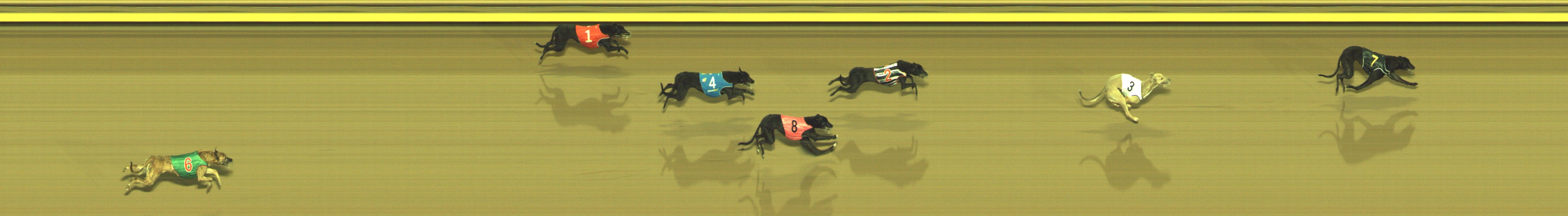 Photo finish for Geelong Race 5