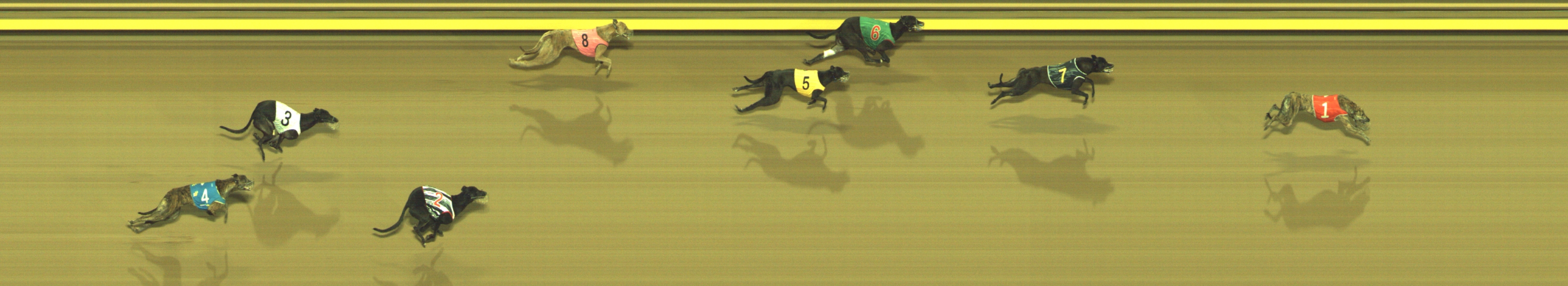 Photo finish for Geelong Race 6