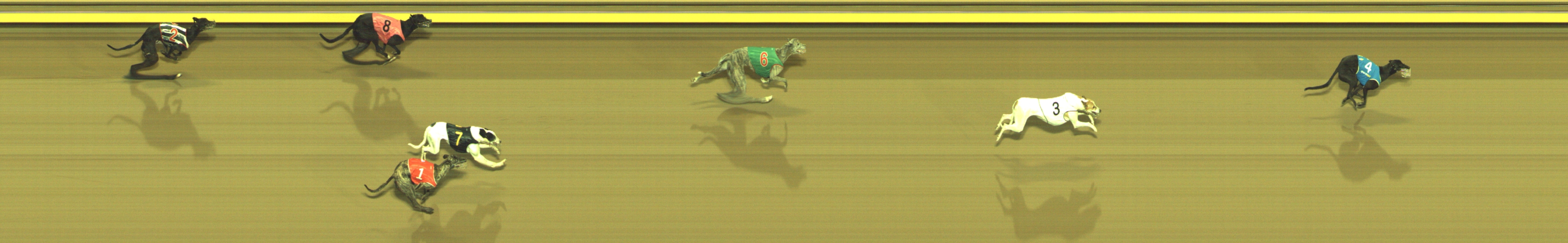 Photo finish for Geelong Race 7