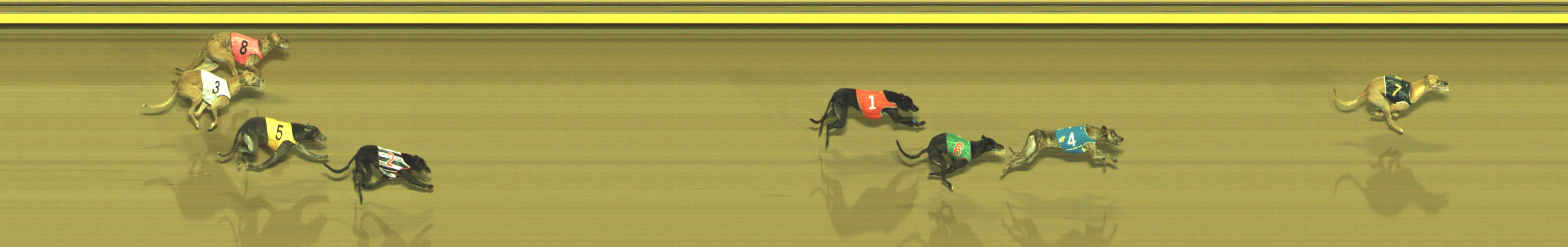 Photo finish for Geelong Race 8
