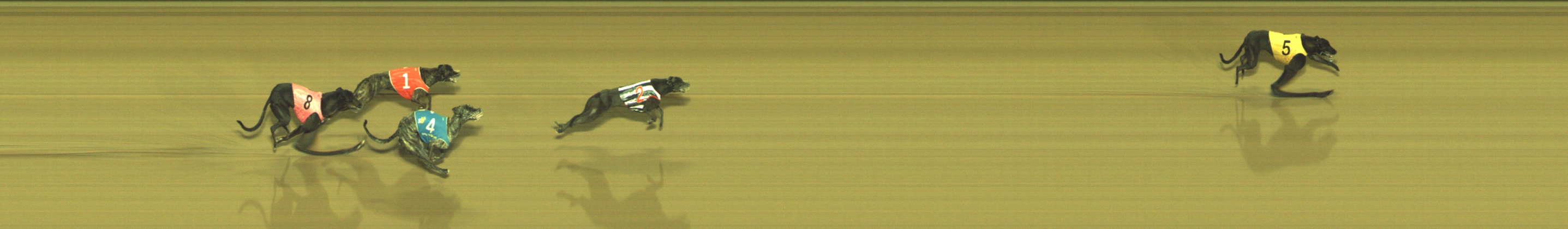 Photo finish for Geelong Race 9