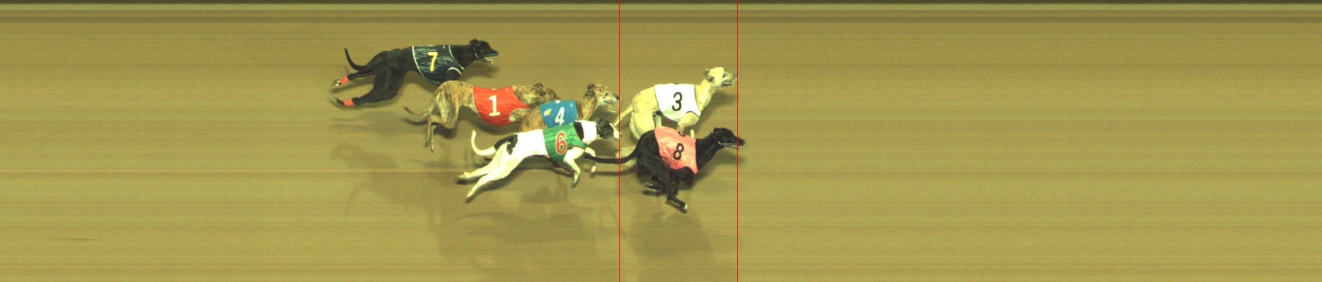 Photo finish for Geelong Race 10