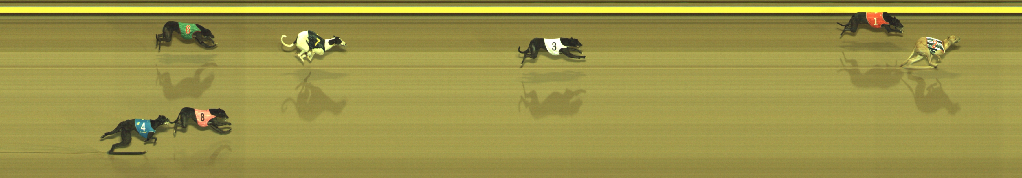 Photo finish for Geelong Race 11