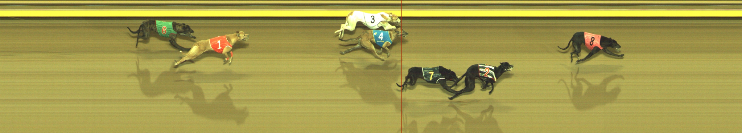 Photo finish for Geelong Race 12