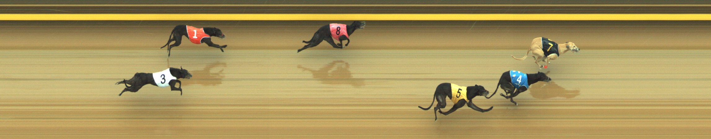 Photo finish for Geelong Race 2