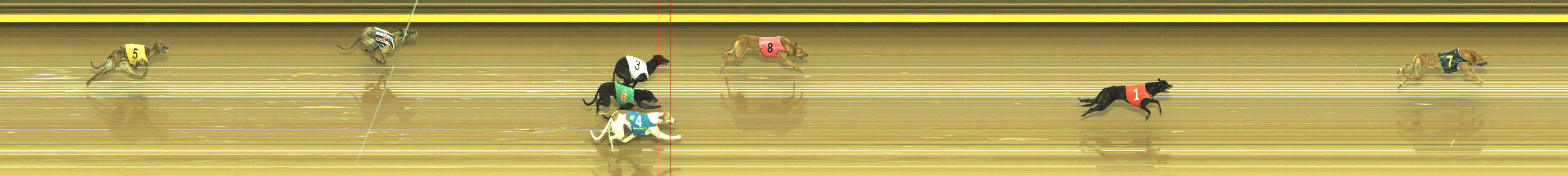 Photo finish for Geelong Race 3