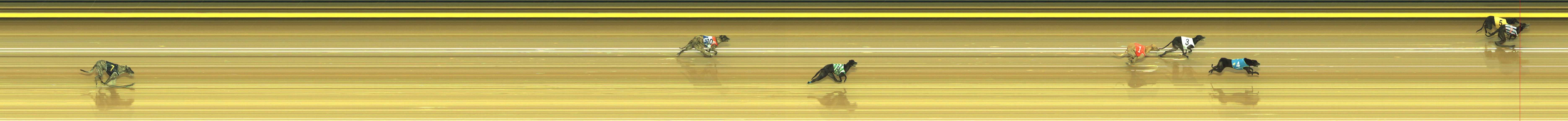 Photo finish for Geelong Race 4