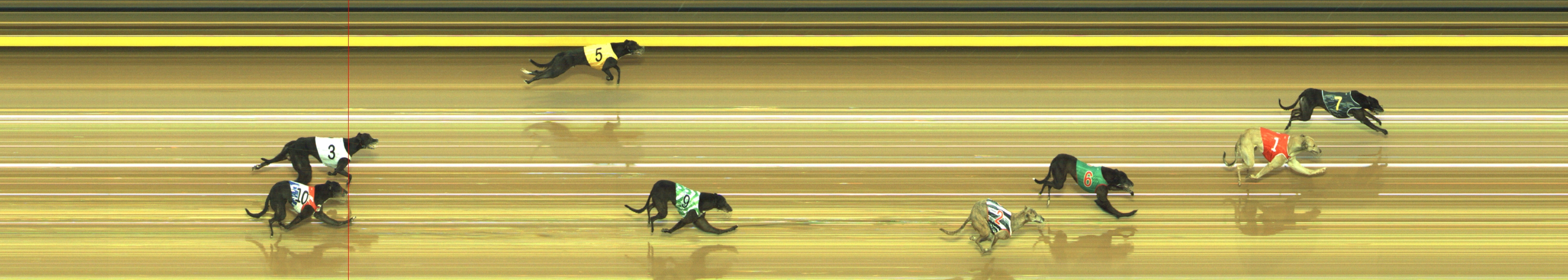 Photo finish for Geelong Race 5