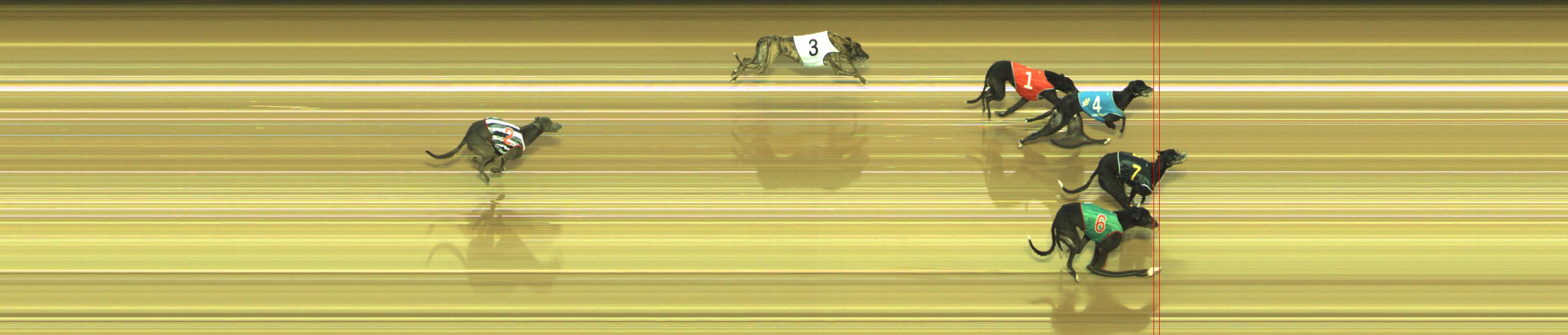 Photo finish for Geelong Race 6