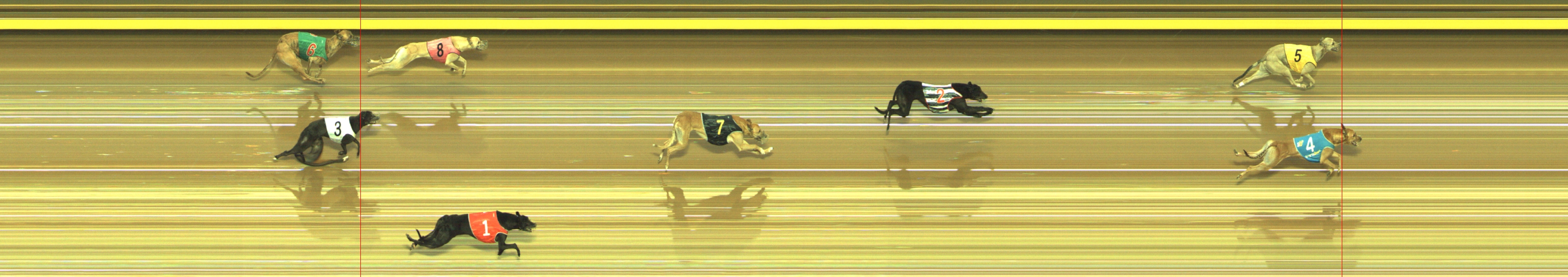 Photo finish for Geelong Race 7