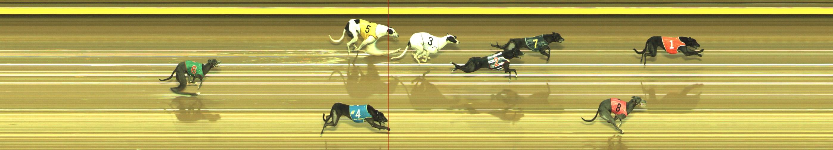 Photo finish for Geelong Race 8