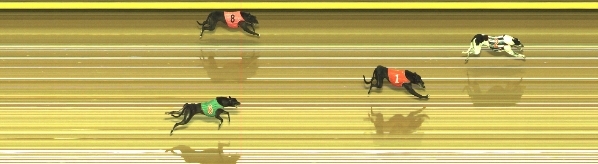 Photo finish for Geelong Race 9