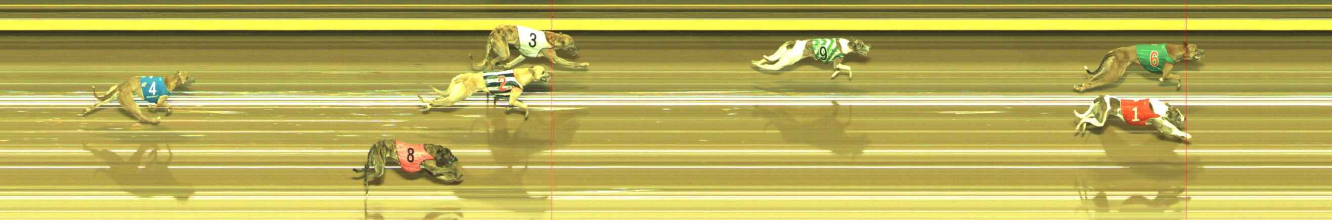 Photo finish for Geelong Race 10
