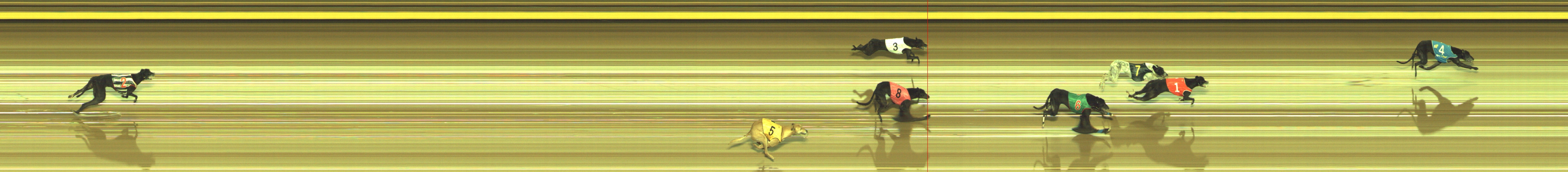 Photo finish for Geelong Race 12