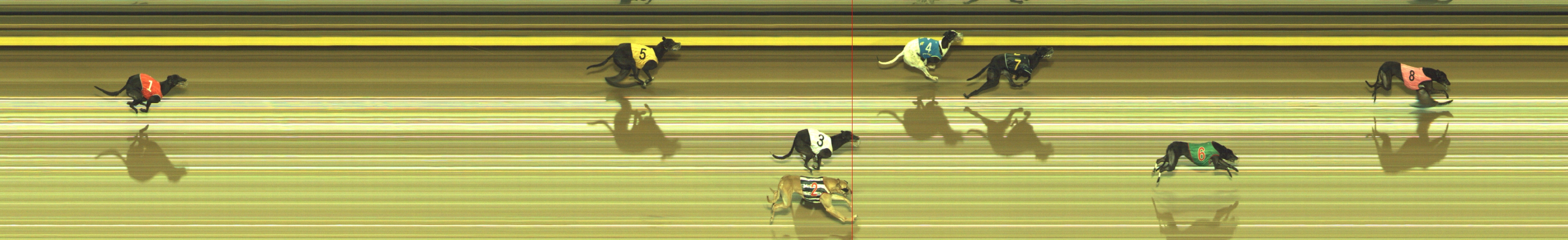 Photo finish for Geelong Race 13