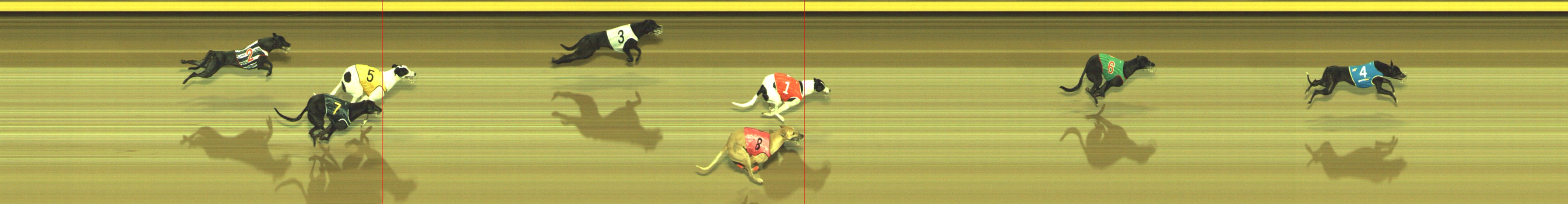 Photo finish for Geelong Race 1