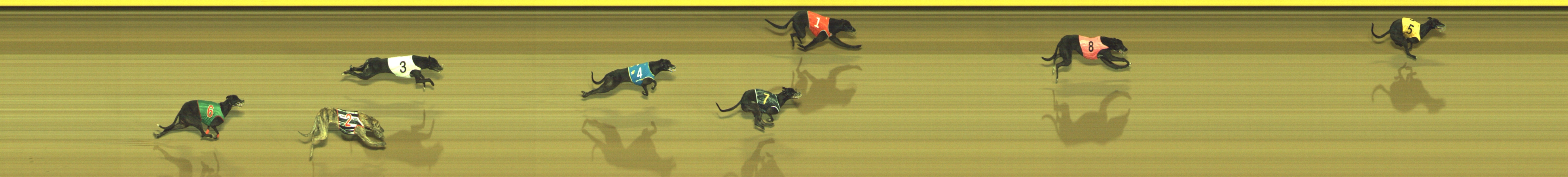 Photo finish for Geelong Race 2