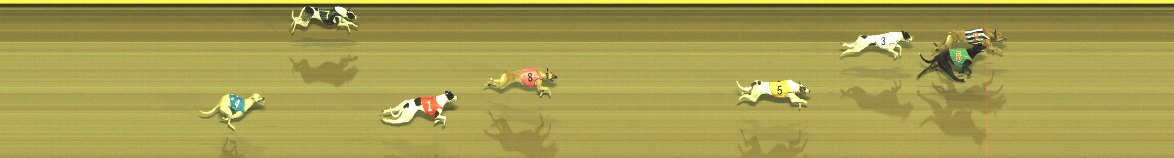 Photo finish for Geelong Race 3