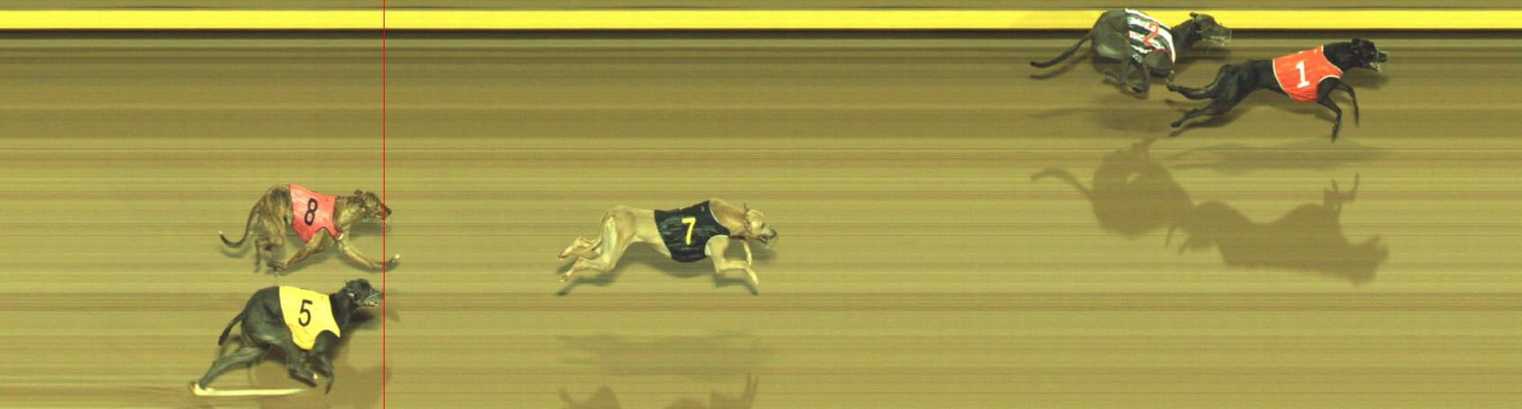 Photo finish for Geelong Race 4