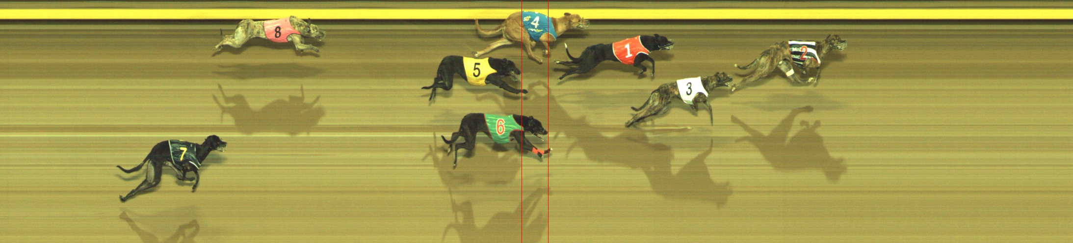 Photo finish for Geelong Race 5