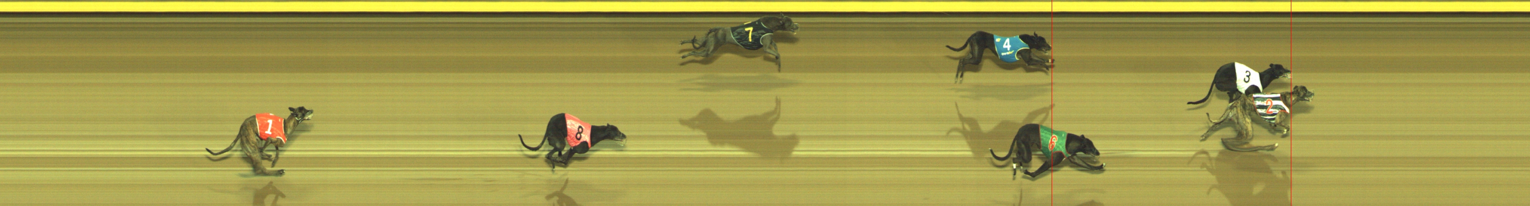 Photo finish for Geelong Race 6