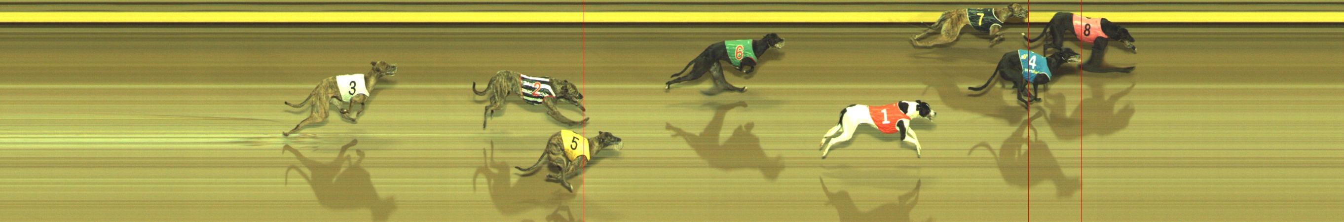Photo finish for Geelong Race 7