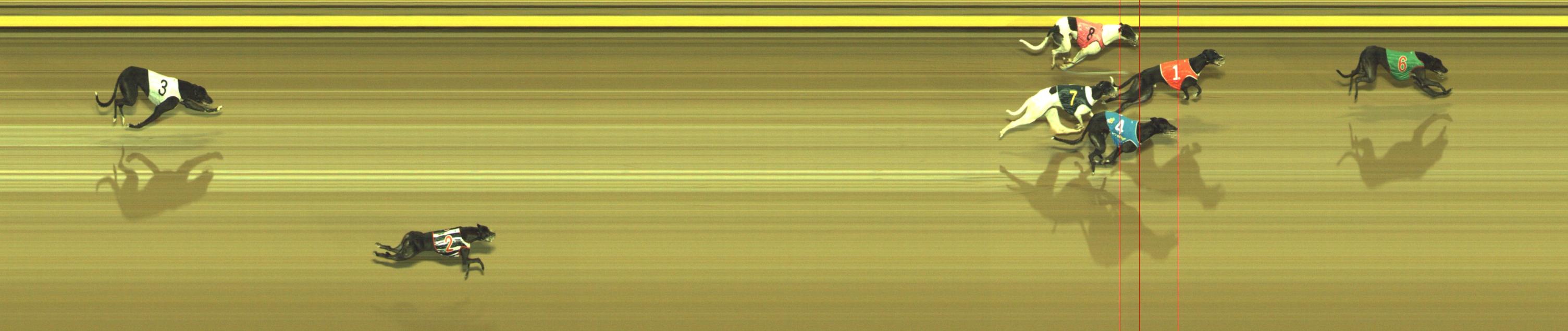 Photo finish for Geelong Race 8
