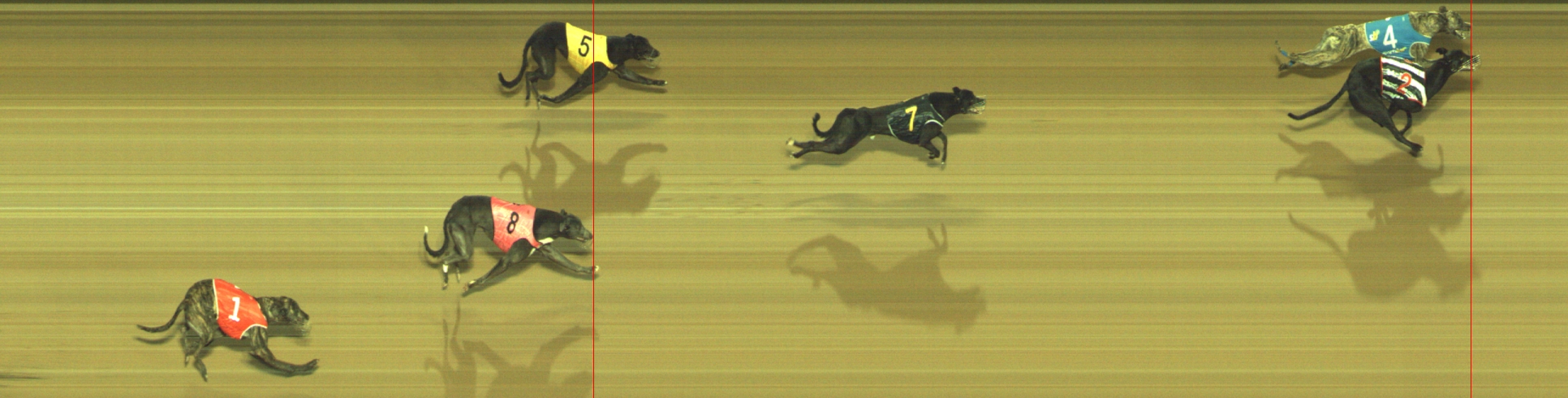 Photo finish for Geelong Race 9