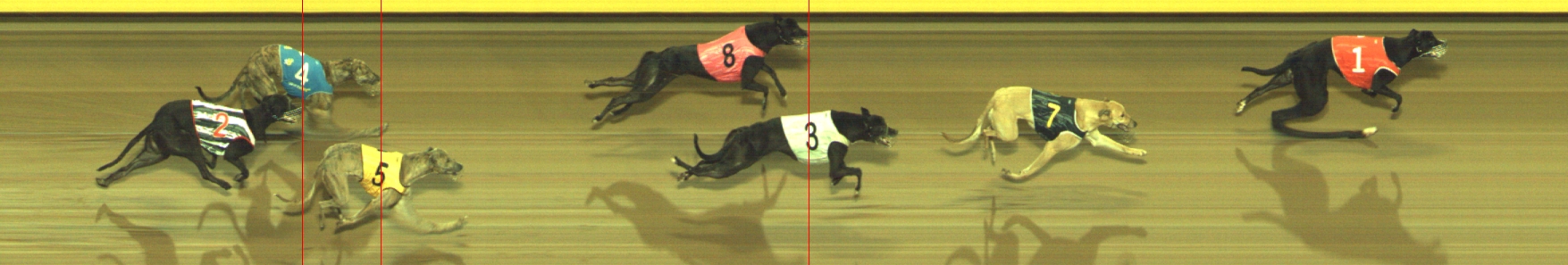 Photo finish for Geelong Race 10