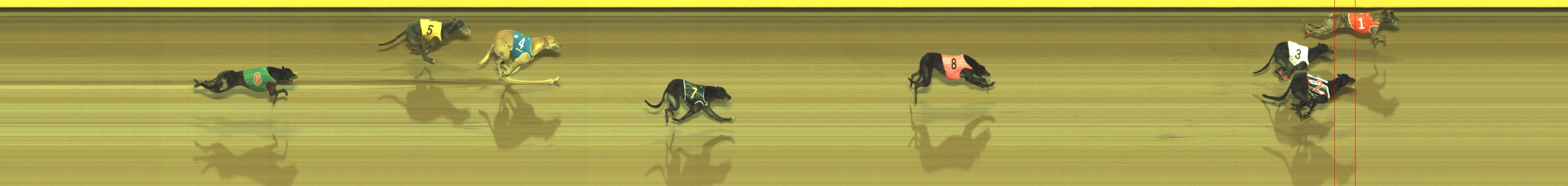 Photo finish for Geelong Race 11