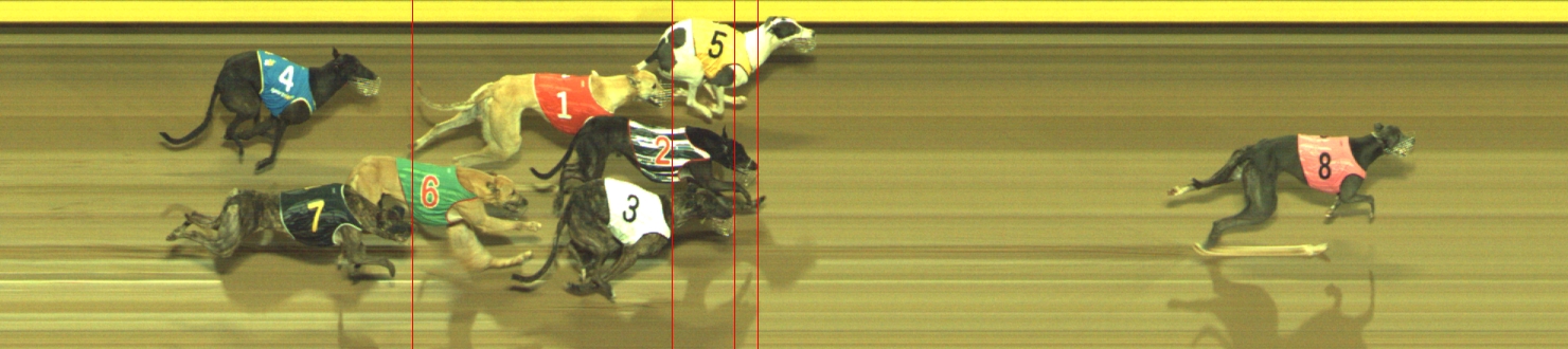 Photo finish for Geelong Race 12