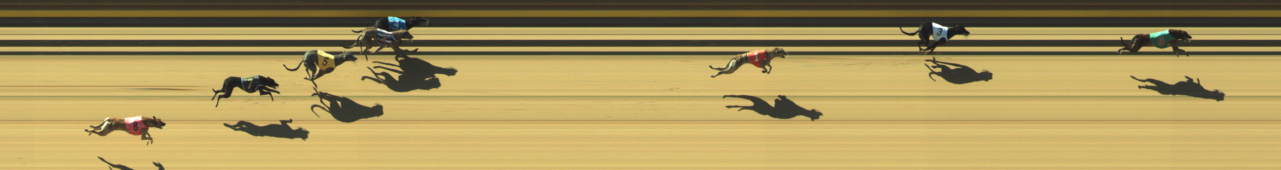 Photo finish for Geelong Race 1