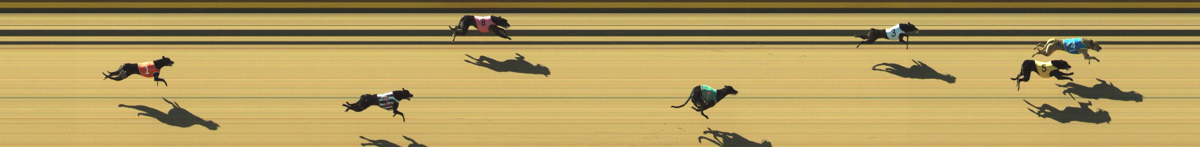 Photo finish for Geelong Race 3