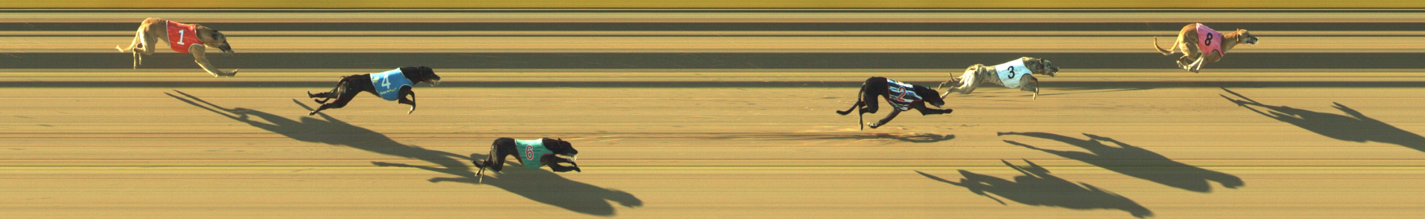 Photo finish for Geelong Race 7