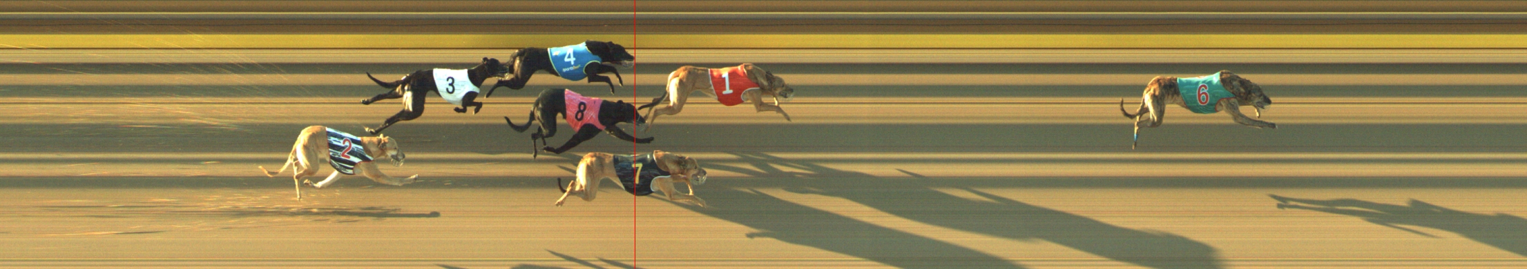Photo finish for Geelong Race 8