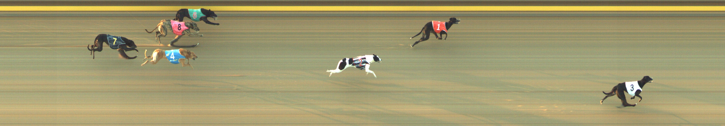 Photo finish for Geelong Race 9