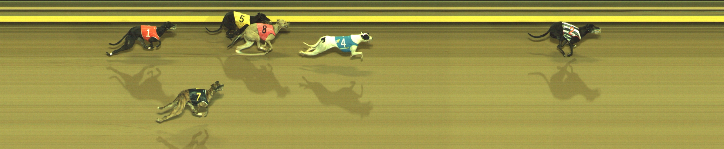 Photo finish for Geelong Race 11