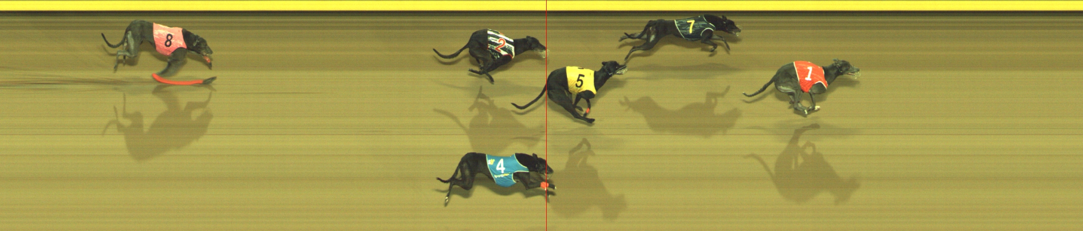Photo finish for Geelong Race 12