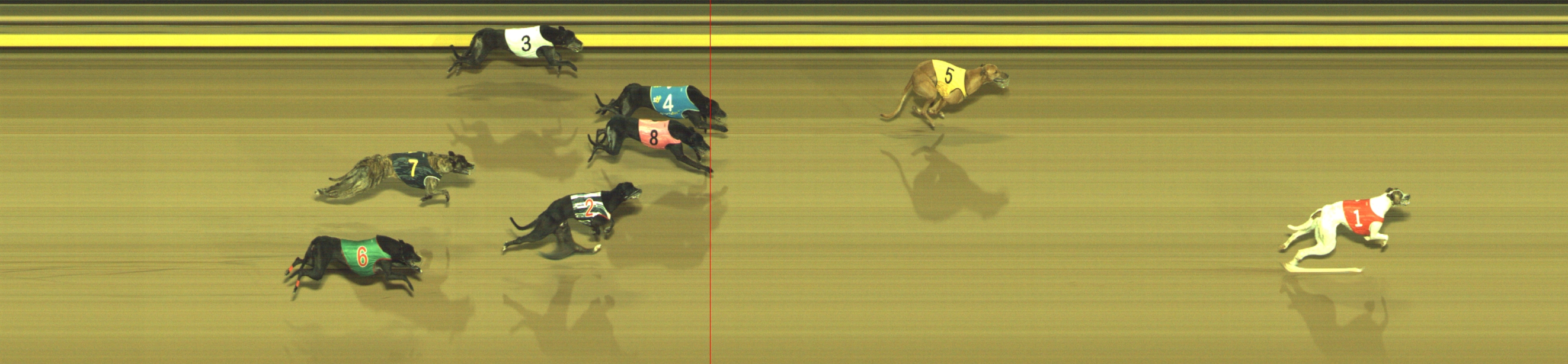 Photo finish for Geelong Race 13