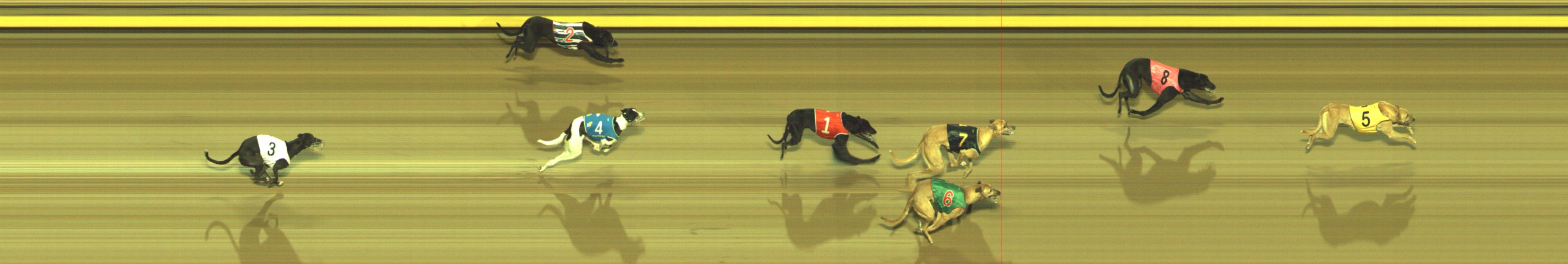 Photo finish for Geelong Race 2