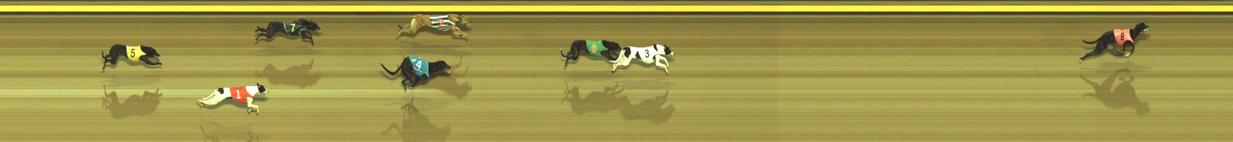 Photo finish for Geelong Race 3