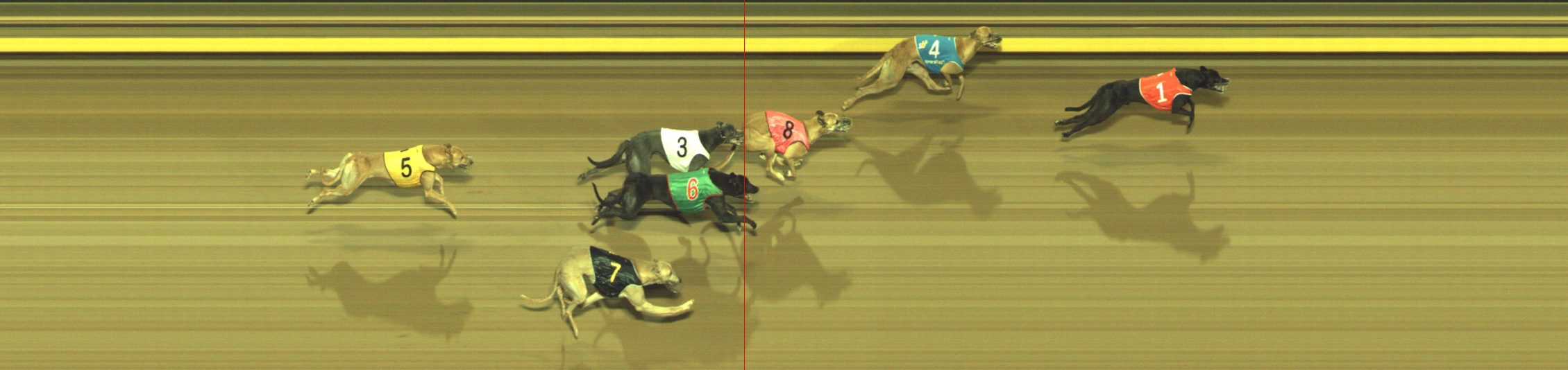 Photo finish for Geelong Race 5