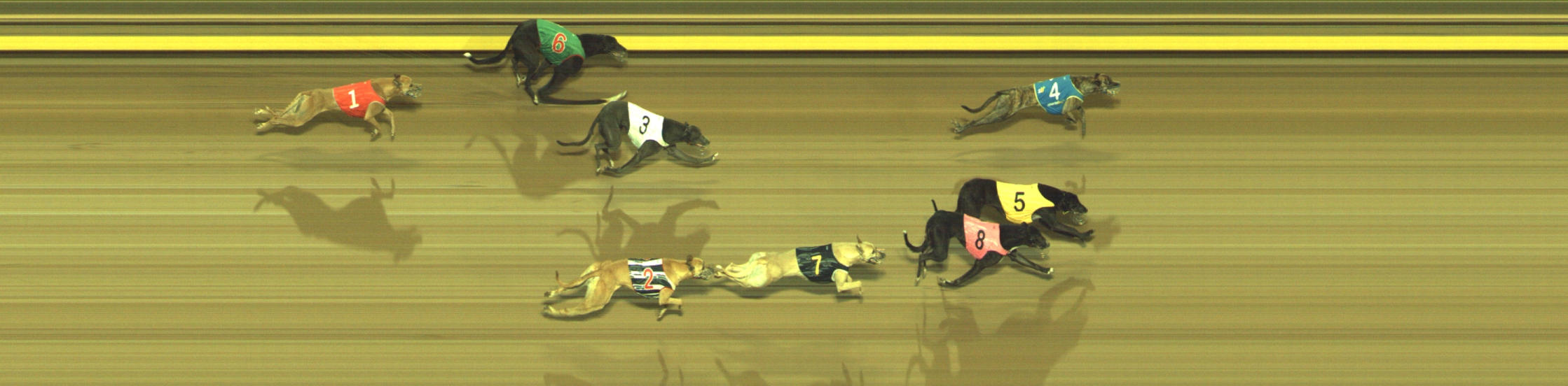 Photo finish for Geelong Race 6