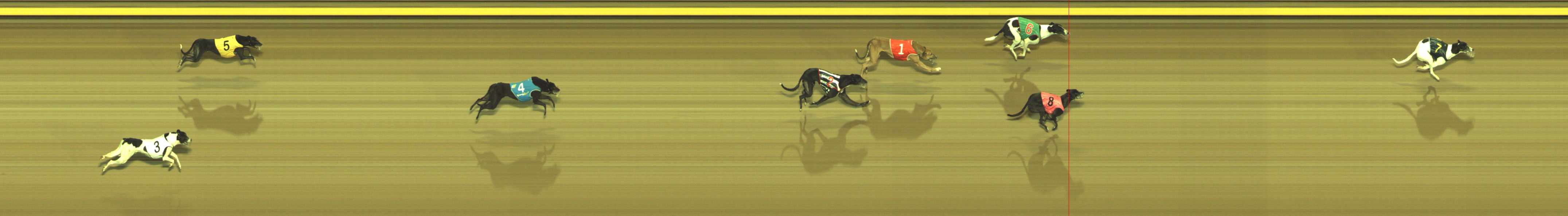 Photo finish for Geelong Race 7