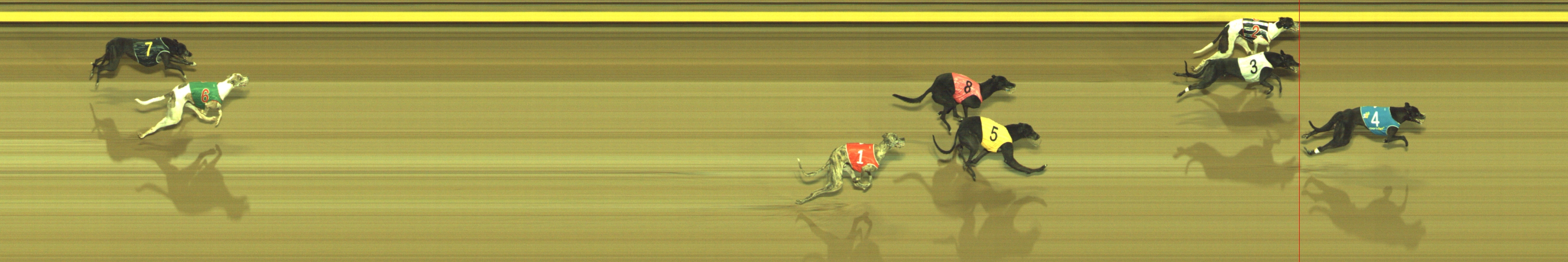 Photo finish for Geelong Race 8