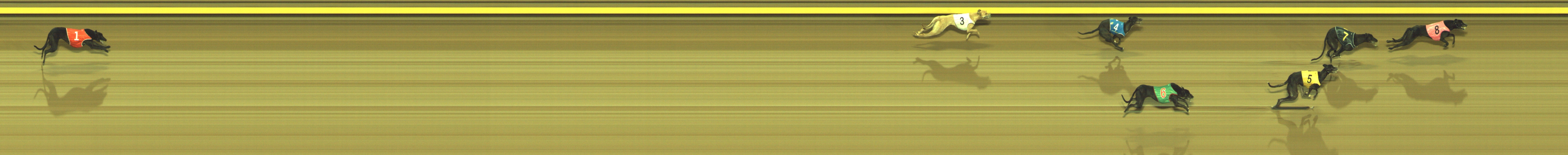 Photo finish for Geelong Race 9