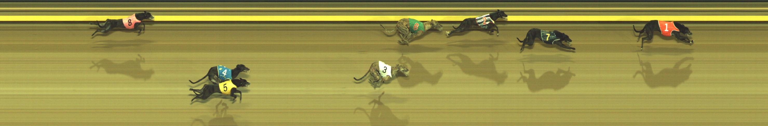 Photo finish for Geelong Race 10