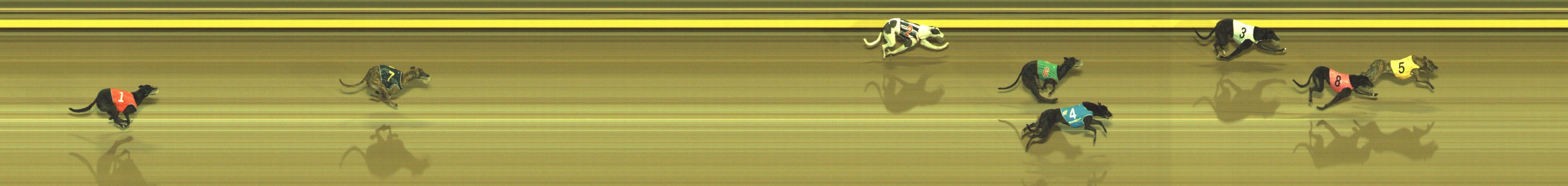 Photo finish for Geelong Race 11
