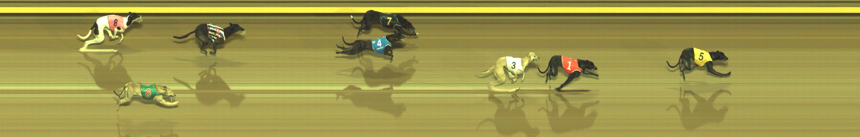 Photo finish for Geelong Race 12