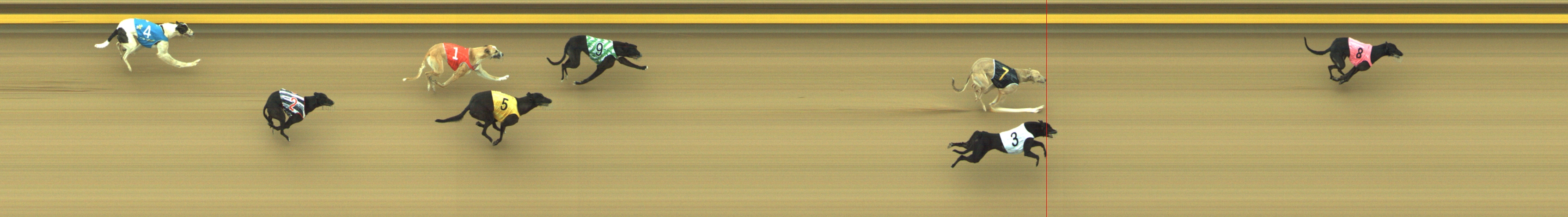 Photo finish for Geelong Race 1